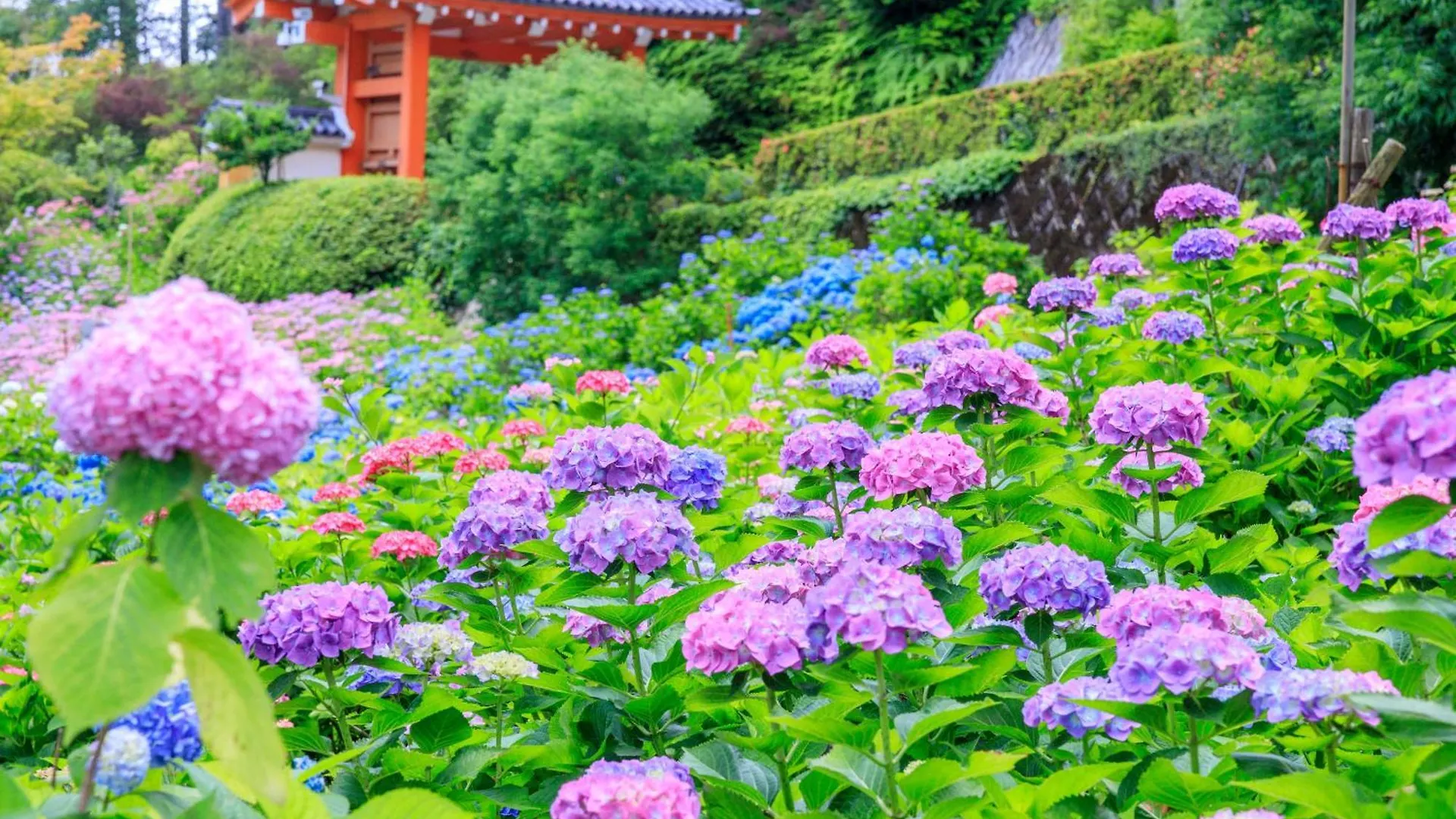 Mimaru Suites Kyoto Shijo Japan